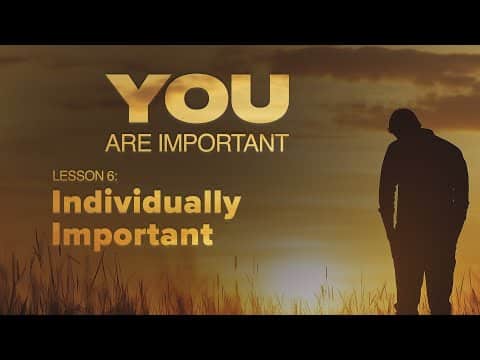 Featured image for “6. Individually Important | You Are Important”