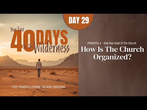 Featured image for “Day 29: How Is the Church Organized? | Your First Forty Days in the Wilderness”
