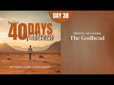 Featured image for “Day 38: The Godhead | Your First Forty Days in the Wilderness”